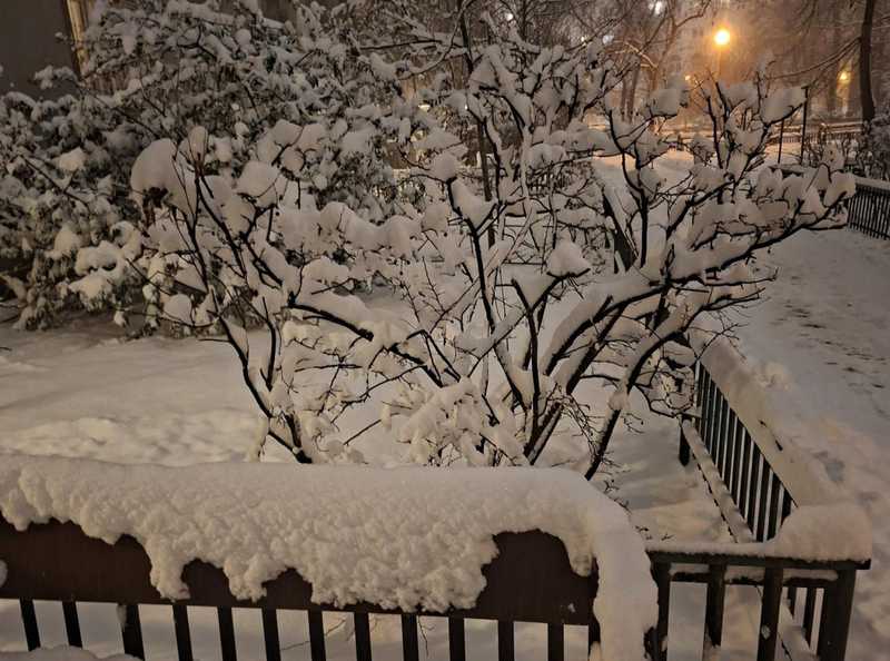 Europa nel Gelo Artico: Neve in Pianura!