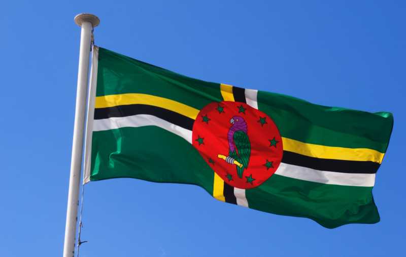 Perché il Viola Sparisce dalle Bandiere?