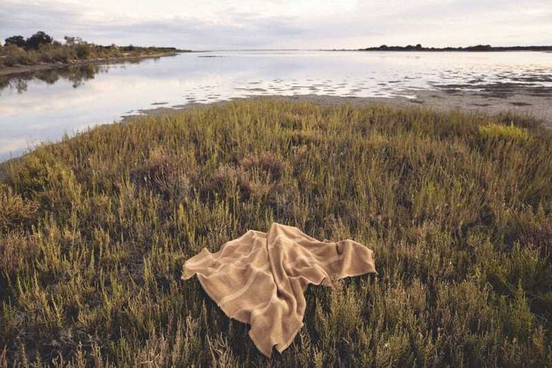 Rivoluzione Tessile: Scienza e Design Svelano i Segreti della Camargue