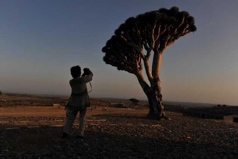 Yemen, 86 italiani bloccati sull'isola di Socotra