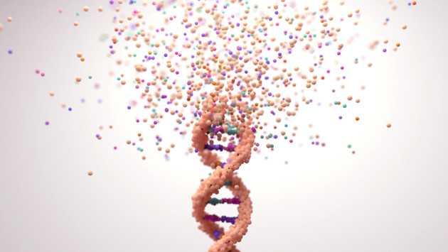 Cinque Gruppi Malattie Mentali: La Rivoluzione della Psichiatria