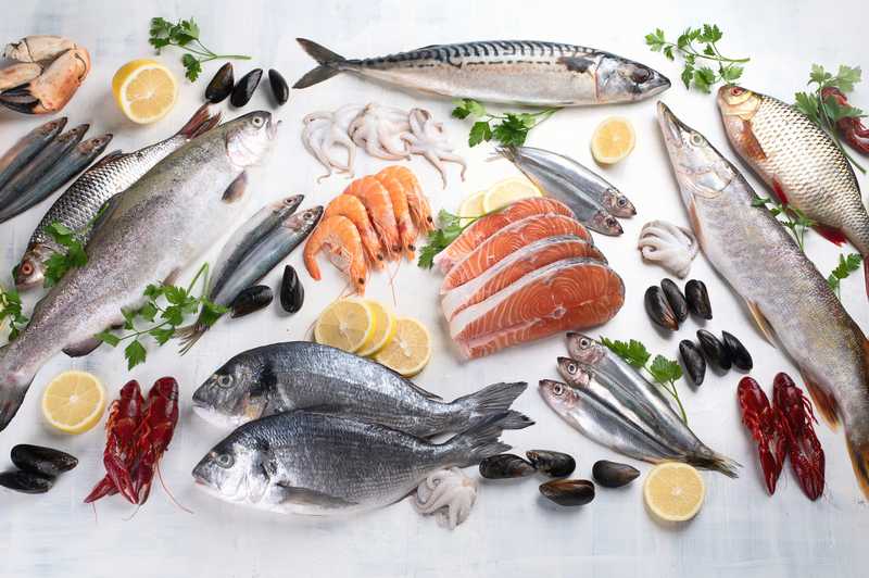 PFAS nel pesce: il commercio globale diffonde il rischio