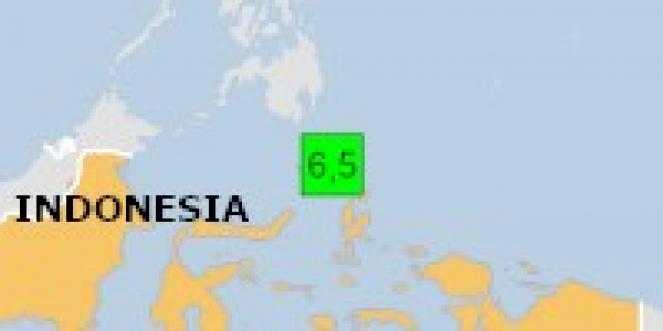 Terremoto in Indonesia