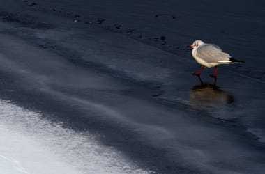 Sole ingannevole: il gelo notturno in agguato