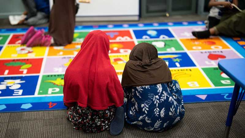 Asili del Minnesota: le accuse di frode e la realtà dei fatti