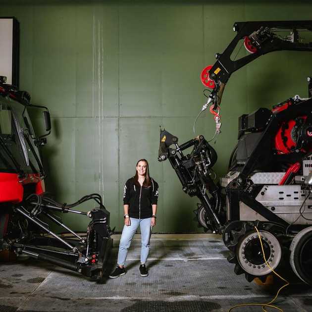 Giganti delle Nevi: La Gattista che Ama i Lupi e i Tramonti Alpini