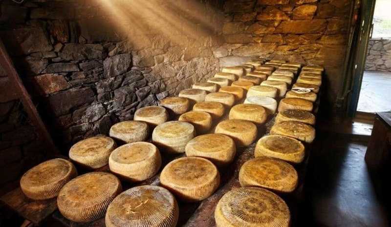 Graviera Greca Batte Tutti: Italia Argento nei Formaggi!