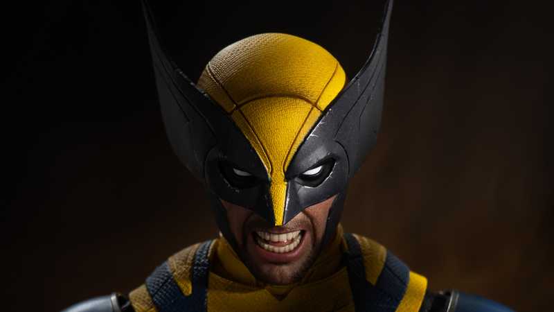Wolverine: Possibile o No?