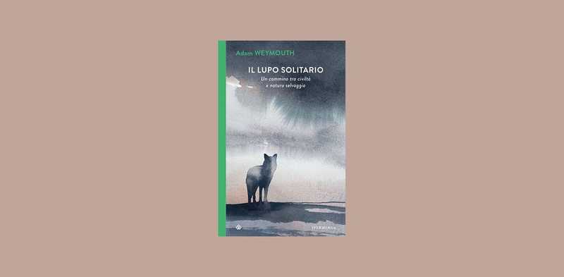 Il Lupo Solitario: il Cammino Epico di Slavc