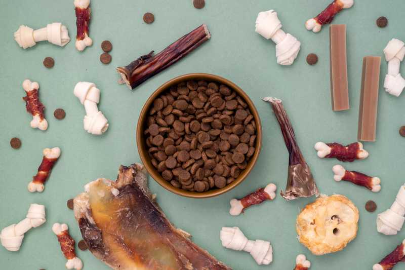 Nuovo Richiamo di Manciatura per Cane: Contaminazione da Micotossine