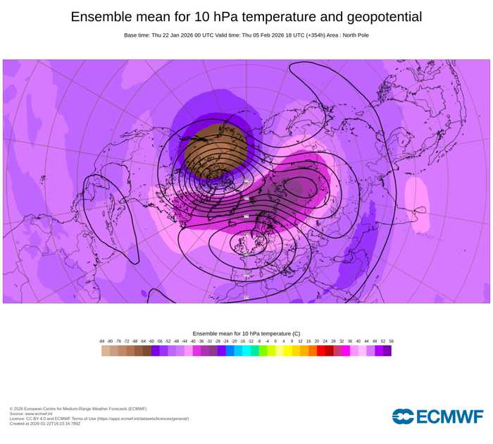 Vortice Polare: Bilobazione e Movimento Stratosferico