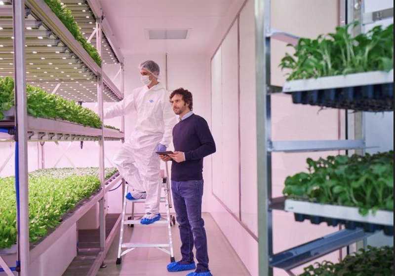 Planet Farms: Rinascita e Innovazione Agricola