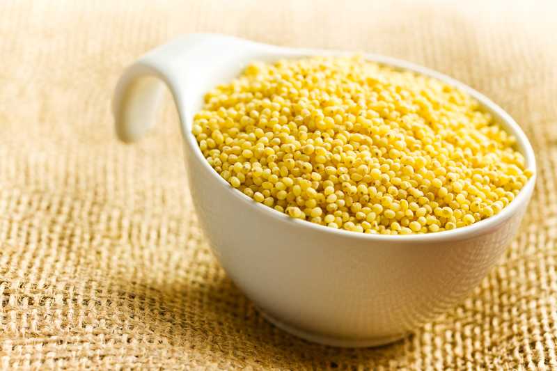 NaturaSì ritira miglio decorticato per alcaloidi tropanici