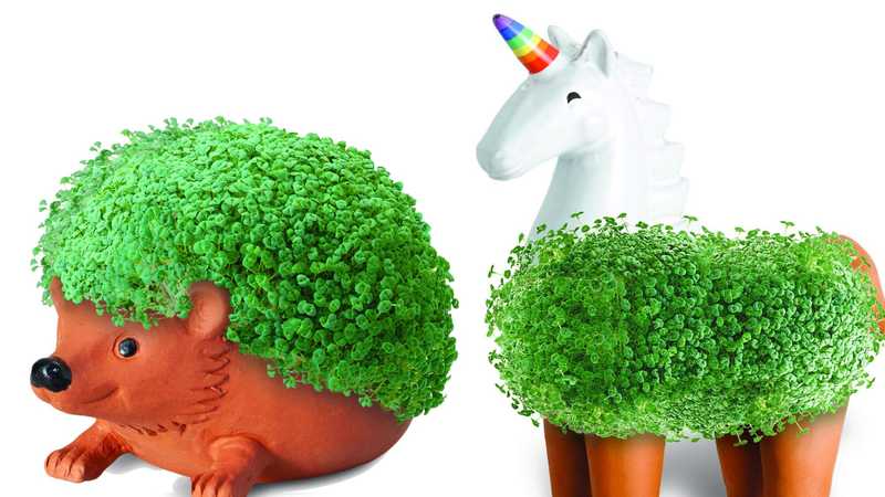 Chia Pets sbarcano sul grande schermo con un film d'animazione