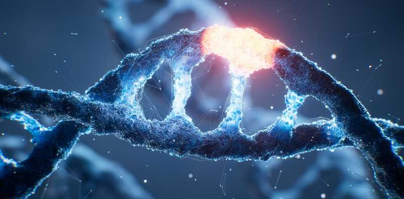 Evoluzione senza meta: perché la biologia non ha una bussola