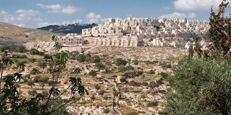 L'impatto di un'azione politica su una comunità: l’esempio del caso Spagna