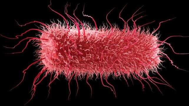 LUCA: Il Mistero dell'Antenato Comune e i Segreti dei Geni Antichi