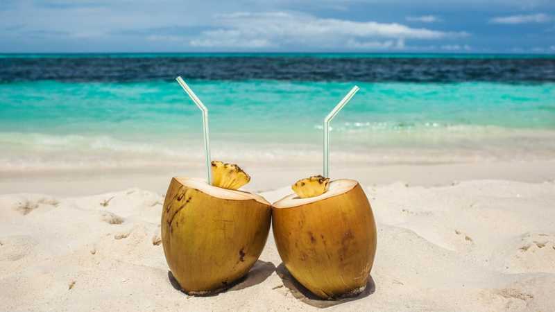 Le celebrità che fanno battere il cuore agli all-stars