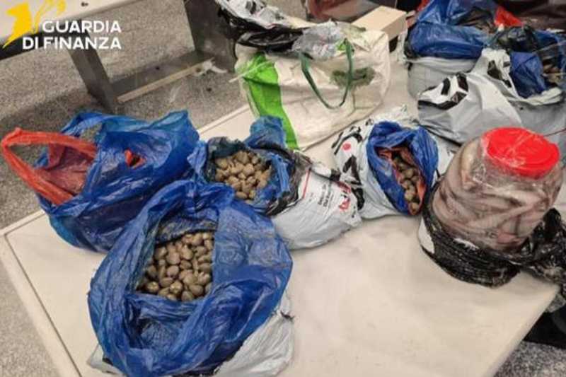 Maxi sequestro di merci illegali a Malpensa