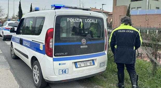 Senigallia dichiara guerra ai finti single per l'Imu