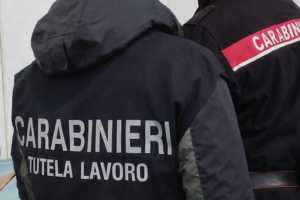 Cori, controlli in azienda bufalina: denunciato titolare