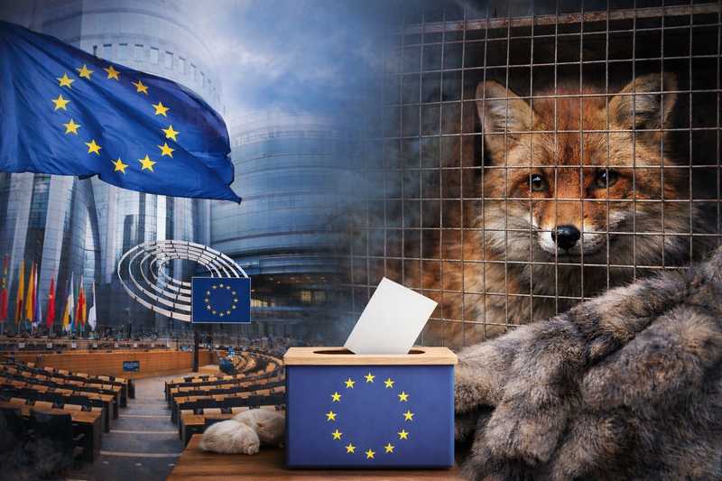 Avanzamento Iniziativa Fur Free Europe