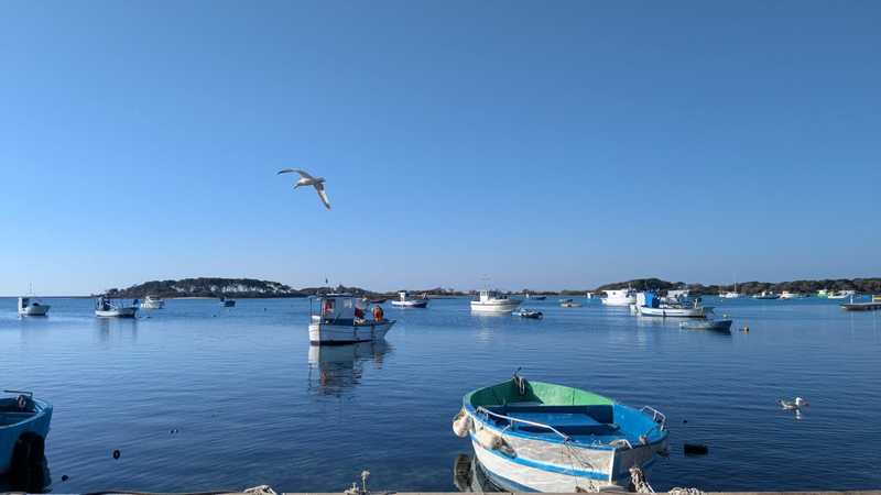 La sfida della pesca artigianale nel Mediterraneo e nel Mar Nero