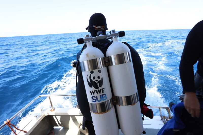 WWF Italia a BolognaFiere: un'occasione per il futuro del mare