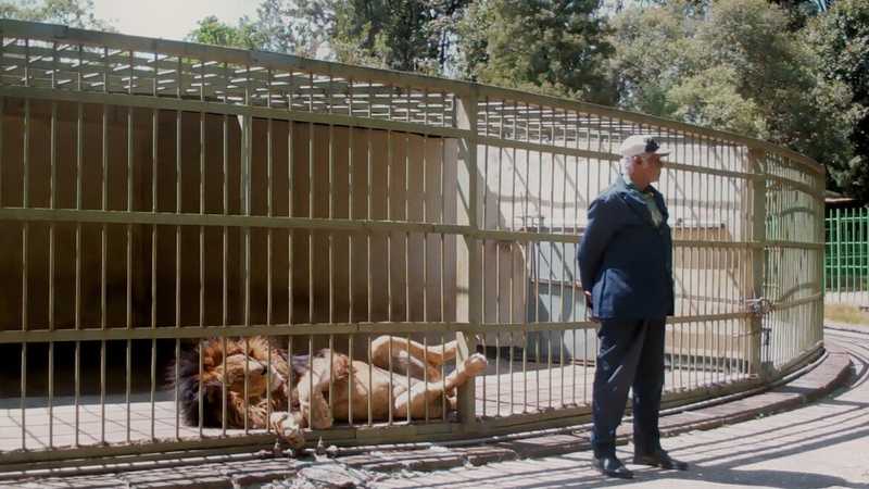 Wax & Gold: Riflessioni sulla Nuova Geopolitica Africana