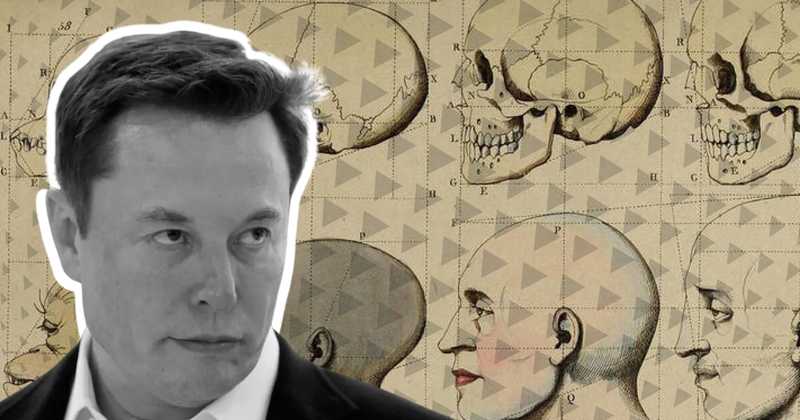 Anthropic Riceve Investimenti, Musk e l'Hype del Mercato