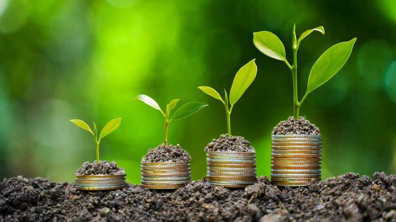 Mercato Biologico Italiano: Crescita e Sfide nel 2025