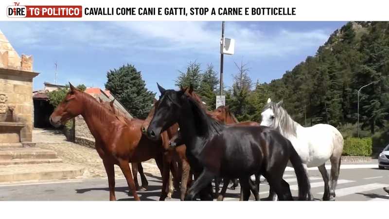 Conflitto in Ucraina: Quinto Anno di Guerra