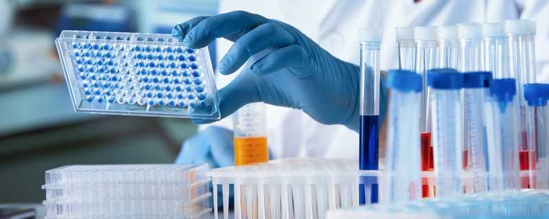 Approvazione Rimborsabile di Olaparib per il Trattamento del Pancreas Metastatico BRCA