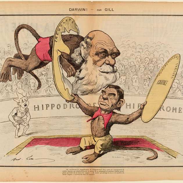 Evoluzione o Involuzione dell'Uomo?