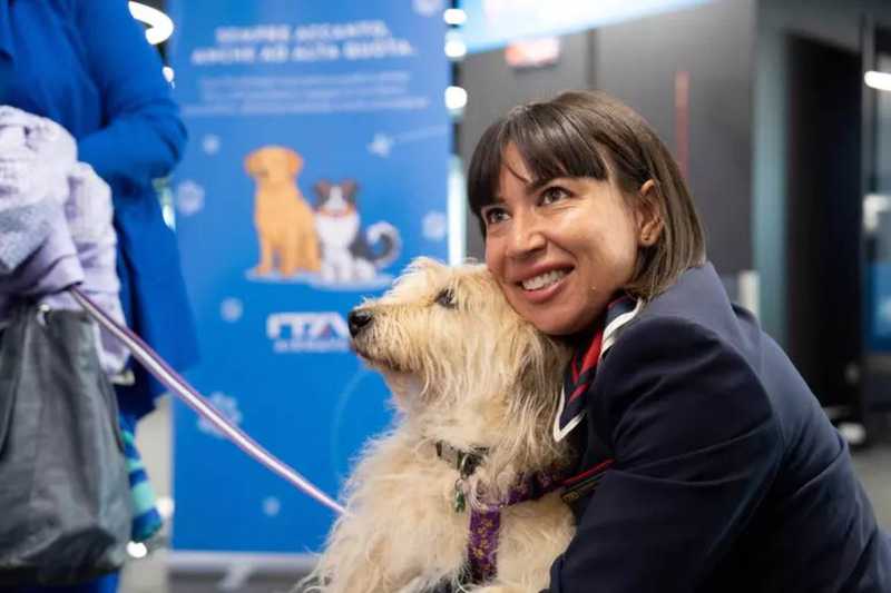Ita Airways: Lancio del Servizio ‘Large Pet Friendly