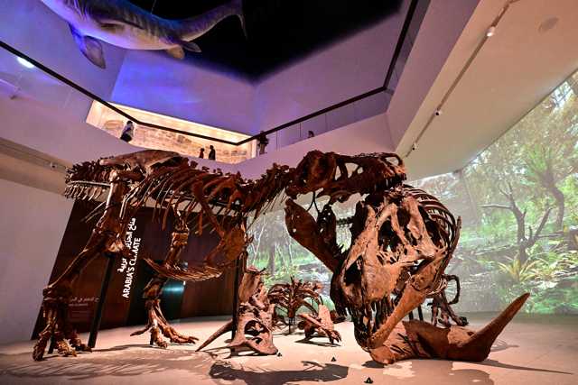 Scoperti Nuovi Risultati di Ricerca Scientifica