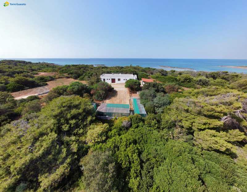 Aumento del 240% dei Soccorsi Animali a Torre Guaceto: l’Umanità la Principale Causa di