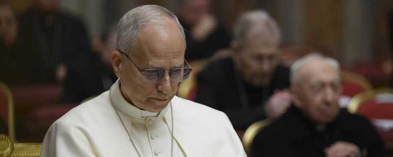 Udienza Generale del Papa: Riflessioni sul Lumen Gentium