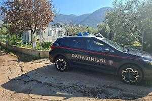 Edilizia Illegale in Lazio: Denunciato Proprietario di Uliveto per Violazioni Ambientali