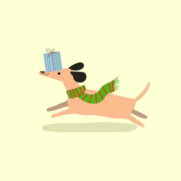 Pacchettini regalo OIPA a Roma: donare è un gesto d'amore